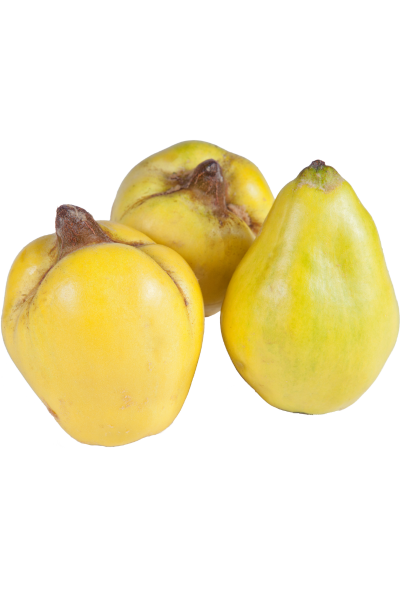 1kg Bio Quitten